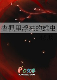 ︡۳