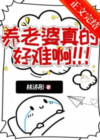 ڻͣȸ